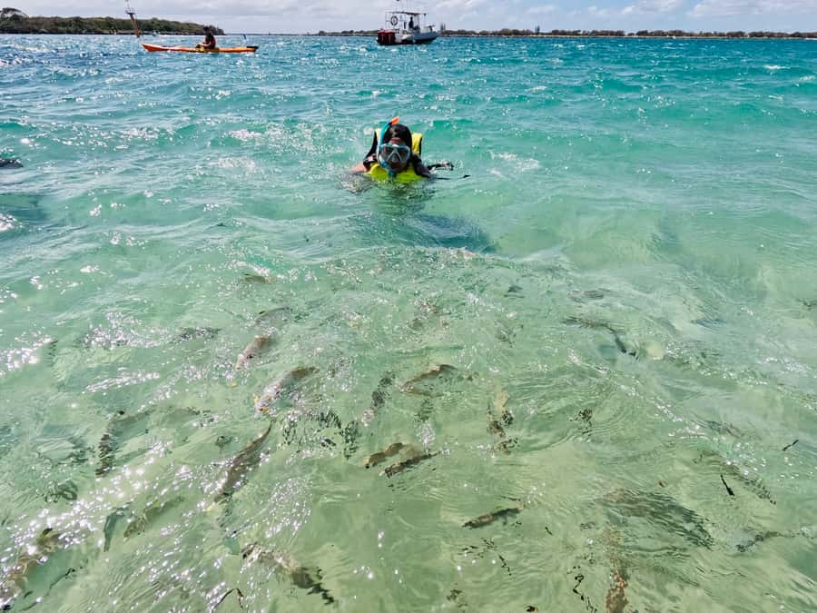 Gold Coast: Kayaking and Snorkeling Guided Tour - Reaching Wavebreak Island by kayak