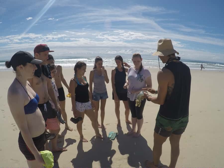 Gold Coast: Kayaking and Snorkeling Guided Tour - What the $53 price really covers