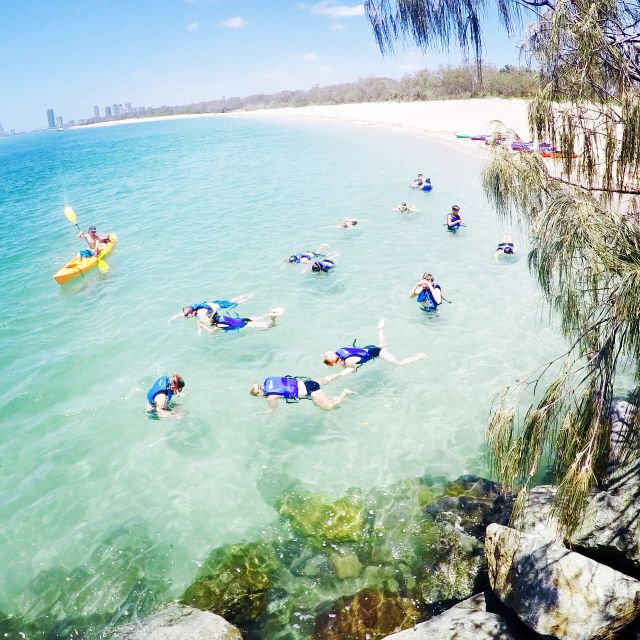 Gold Coast: Kayaking and Snorkeling Guided Tour - What to pack for a more comfortable outing