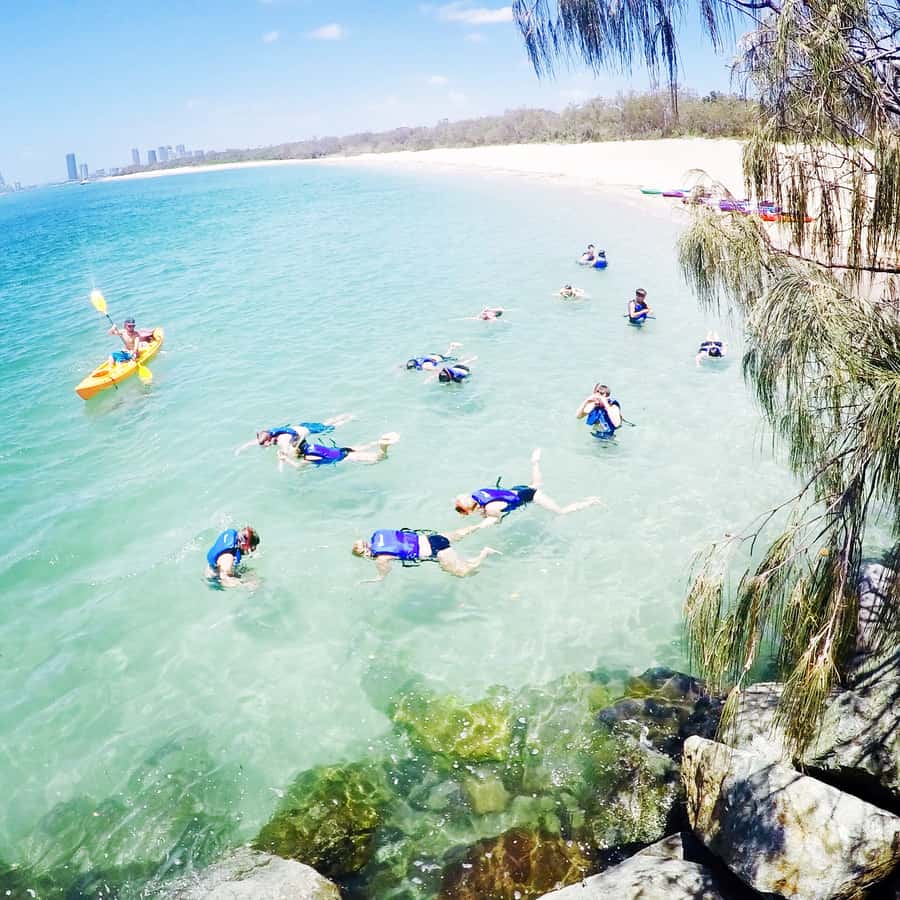 Gold Coast: Kayaking and Snorkeling Guided Tour - Learning the kayak before crossing Southern Moreton Bay