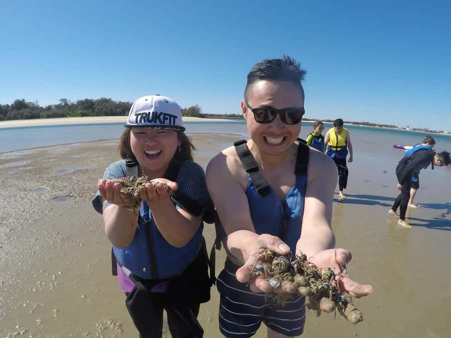 Gold Coast: Kayaking & Snorkelling Tour with Fish Feeding - Dolphins, Stingrays, and the Wild Side of the Broadwater