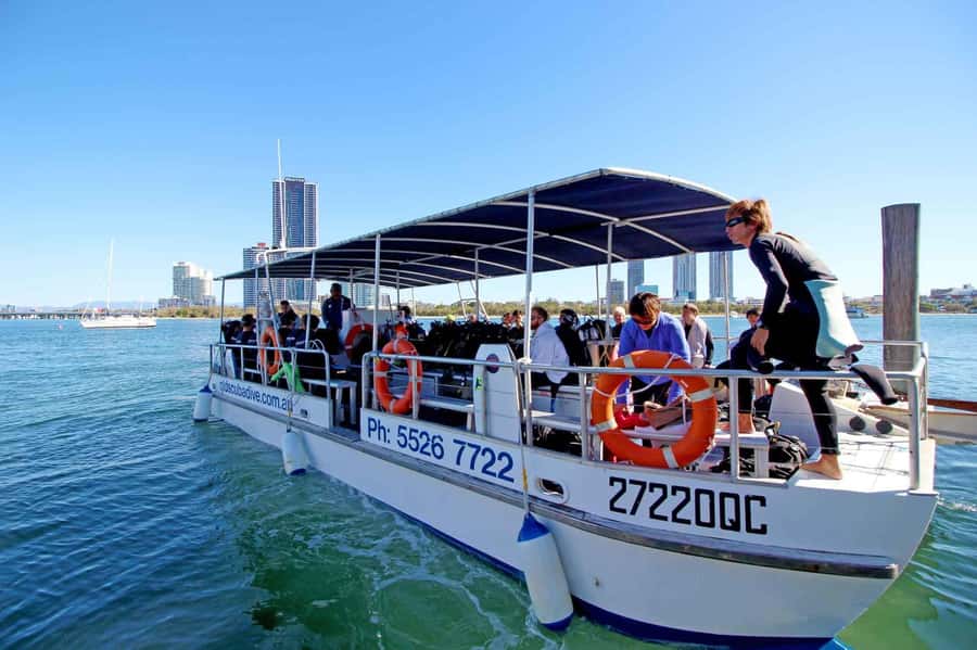 Gold Coast: Snorkelling in Wave Break Island - Key points to know before you go