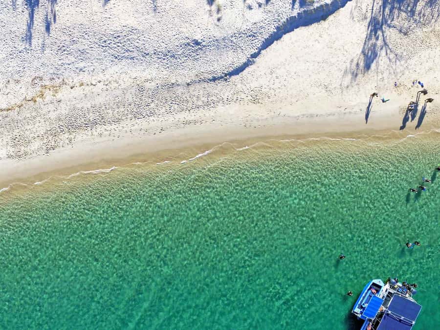 Gold Coast: Snorkelling in Wave Break Island - Who should book this experience?