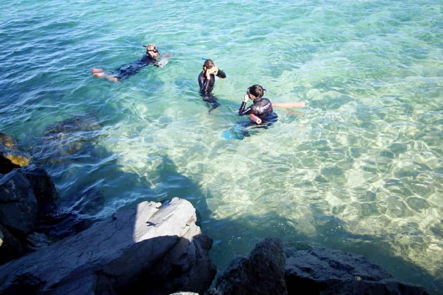 Gold Coast: Snorkelling in Wave Break Island - What the Wave Break Island trip is really like