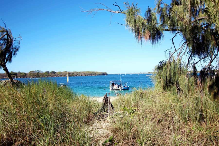 Gold Coast: Snorkelling in Wave Break Island - Starting at the Gold Coast shop