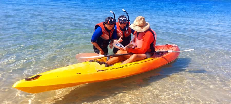 Gold Coast: Wave Break Island Kayaking & Snorkeling tour - Key things to know before you paddle