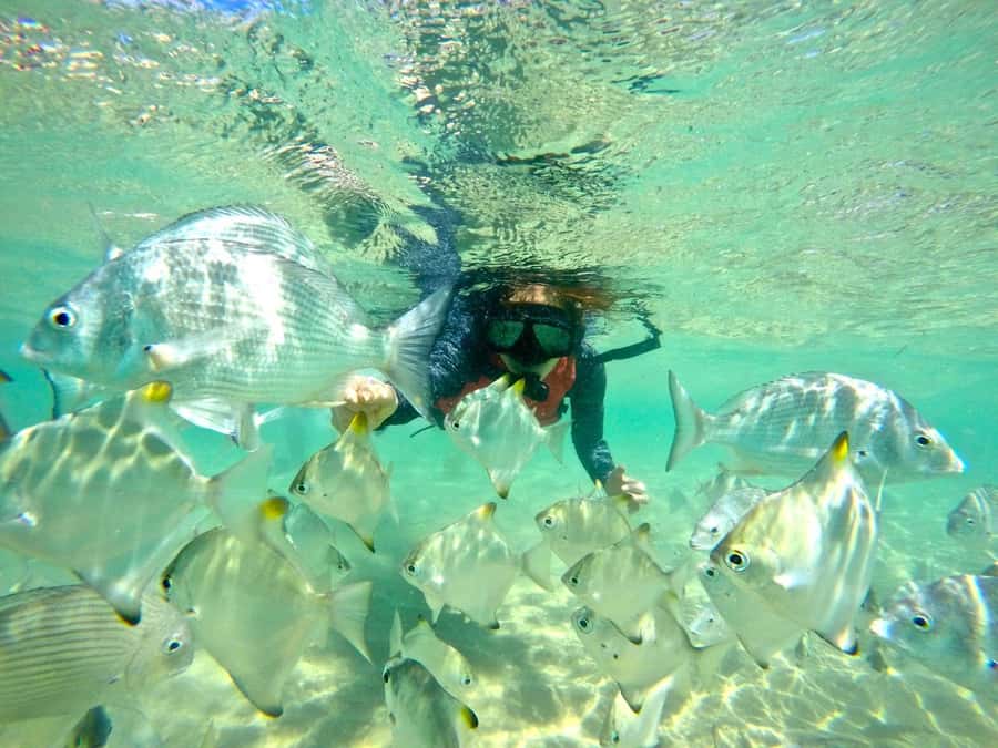 Gold Coast: Wave Break Island Kayaking & Snorkeling tour - A calm start with clear paddling lessons