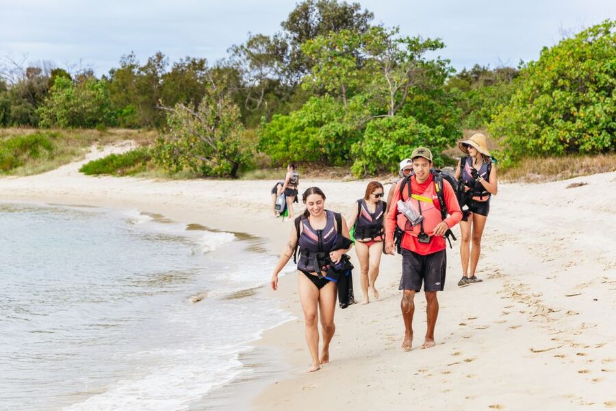 Gold Coast: Wave Break Island Kayaking & Snorkeling tour - Snorkeling beside a subtropical reef