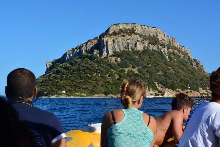 Golfo Aranci: Dolphin Watching and Snorkeling Boat Tour - Cala Greca: the first chance to swim