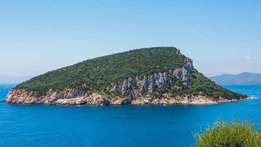 Golfo Aranci: Dolphin Watching and Snorkeling Boat Tour - Watching bottle-nose dolphins near Cape Figari
