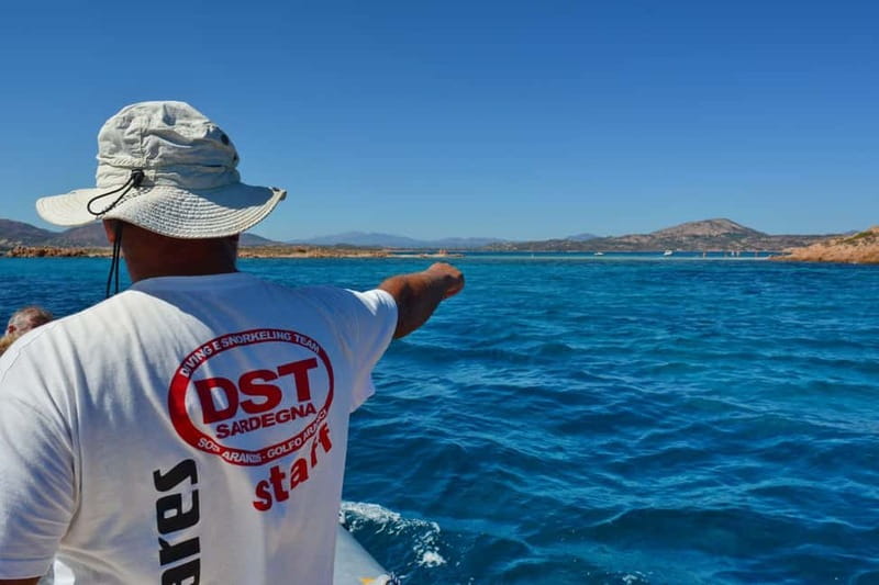 Golfo Aranci: Tavolara and Molara Snorkeling Dinghy Tour - Molara’s natural pools and fish-filled water