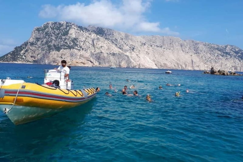 Golfo Aranci: Tavolara and Molara Snorkeling Dinghy Tour - A final swim at Punta Spalmatore