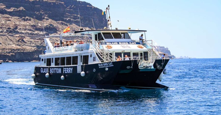 Gran Canaria: Catamaran Dolphin Watch Cruise with Snorkeling - Setting sail from Puerto Base