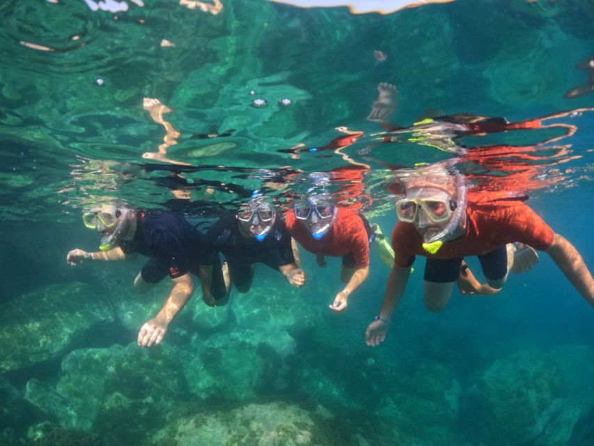 Gran Canaria: Snorkel tour with boat on the west coast - Key points before you book