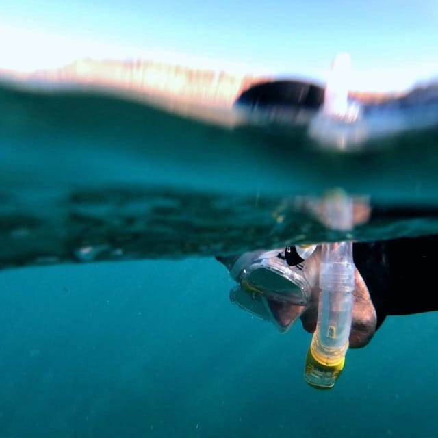 Gran Canaria: Snorkeling Trip - Key points at a glance