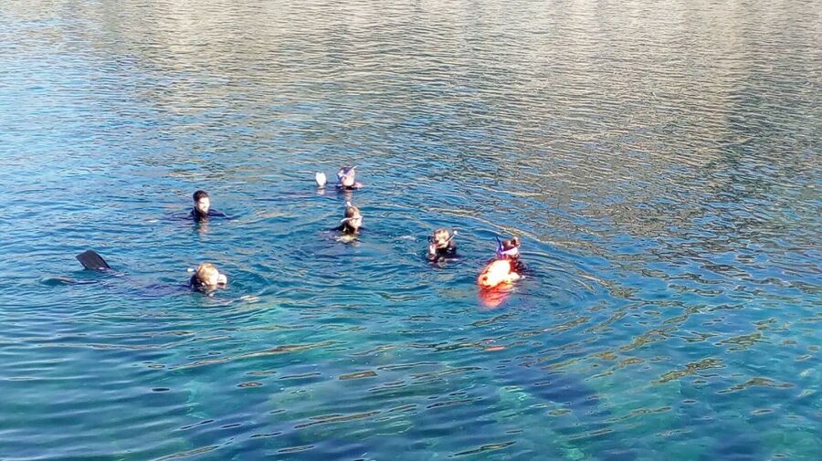 Gran Canaria: Snorkeling Trip - Forty-five minutes to one hour in the water