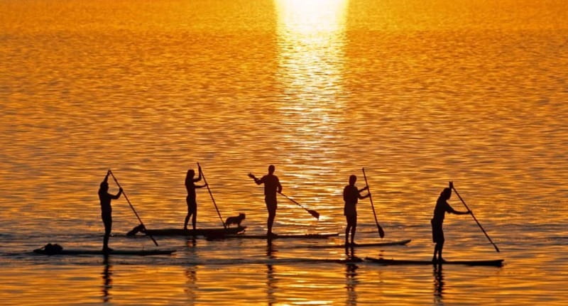 Gran Canaria: Stand-Up Paddle Lesson & Snorkeling Tour - Weather, safety, and comfort