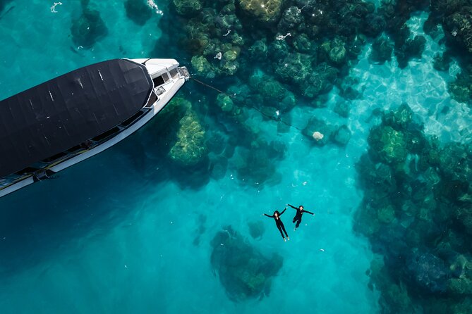 Great Barrier Reef Small Group Snorkelling Adventure - Key points at a glance