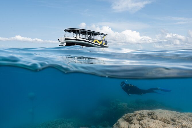 Great Barrier Reef Small Group Snorkelling Adventure - Check-in at the Pier Shopping Centre