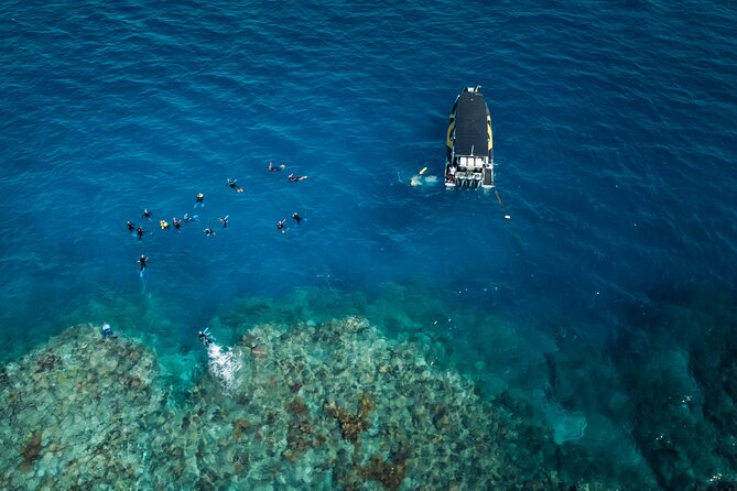 Great Barrier Reef Small Group Snorkelling Adventure - Equipment, flotation, and stinger protection
