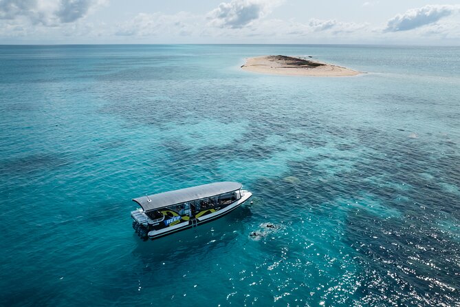 Great Barrier Reef Small Group Snorkelling Adventure - The crew and the feel of the outing