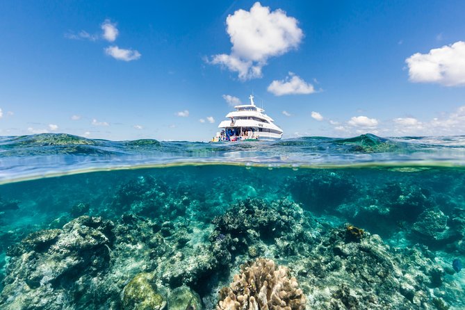 Great Barrier Reef Snorkeling and Diving Cruise from Cairns - What makes this reef cruise worth considering