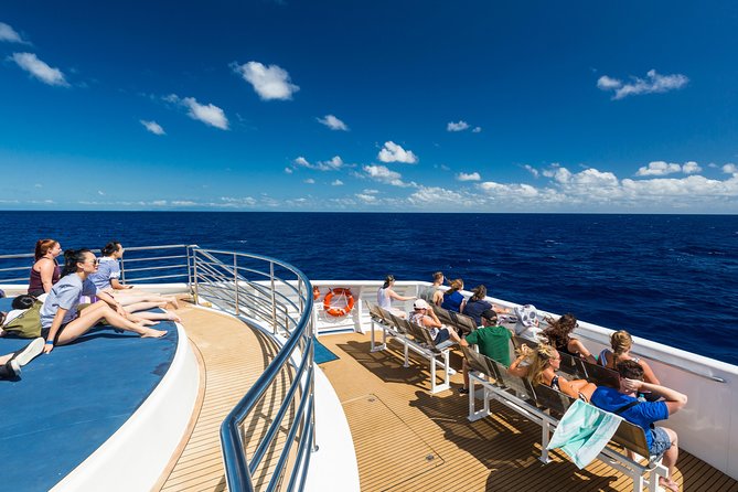 Great Barrier Reef Snorkeling and Diving Cruise from Cairns - First reef stop: Saxon Reef or Norman Reef