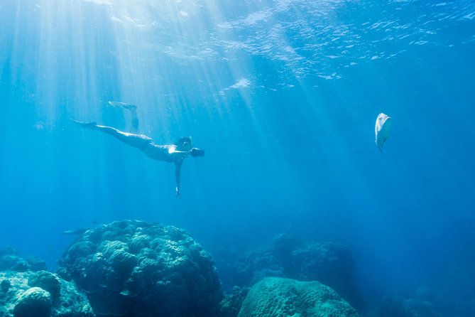 Great Barrier Reef Snorkeling and Diving Cruise from Cairns - A crew that makes a large trip feel manageable