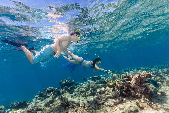 Great Barrier Reef Snorkeling and Diving Cruise from Cairns - Who should book this Cairns reef day?