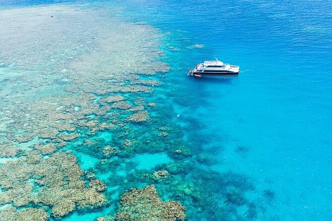 Great Barrier Reef with Cultural Guides-Dreamtime Dive & Snorkel - Moore Reef: your first two hours in the water