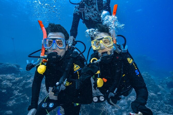 Great Barrier Reef with Cultural Guides-Dreamtime Dive & Snorkel - Food, facilities, and comfort on board