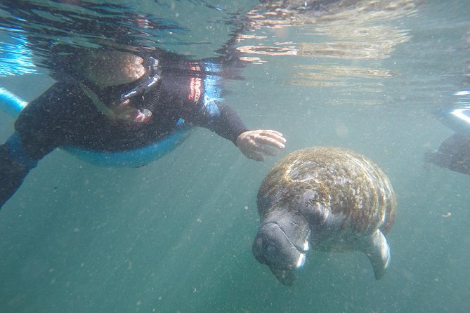 Guided Small Group Manatee Snorkeling Tour with In-Water Photographer - What makes this Crystal River tour worth considering