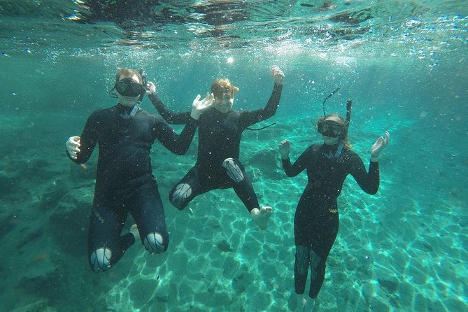 Guided Small Group Manatee Snorkeling Tour with In-Water Photographer - Cruising Crystal River to find the animals