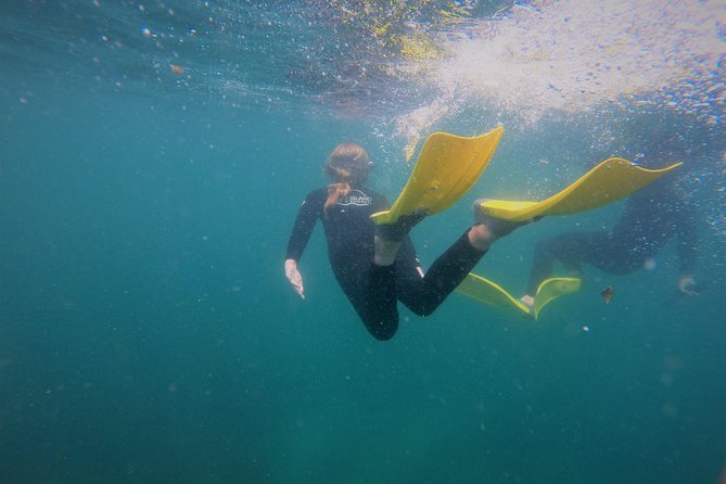 Guided Snorkel Experience, Advanced - The briefing turns basic snorkelling into better snorkelling