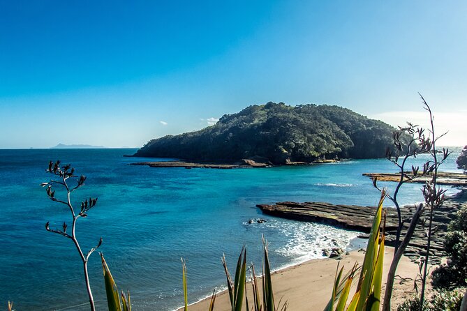 Guided Snorkel Experience, Advanced - Meeting snapper, rays, urchins, and smaller surprises