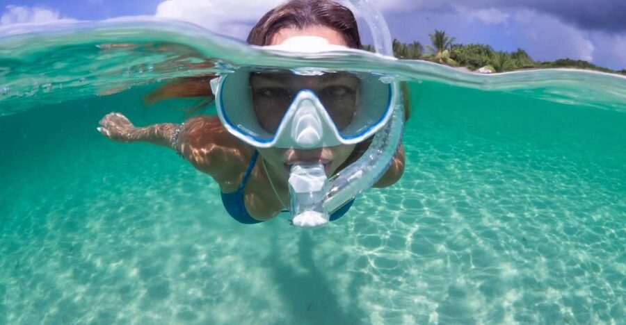 Guided Snorkel in Barcelona Beach - What this Barcelona snorkel experience is really like