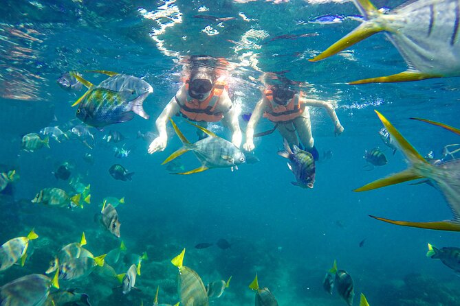 Half Day Cabo Snorkel Adventure with Lunch and Open Bar - Who should book this Cabo snorkel trip?