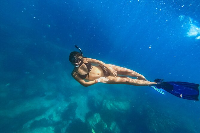 Half Day Cabo Snorkel Adventure with Lunch and Open Bar - Two bays, two chances to snorkel