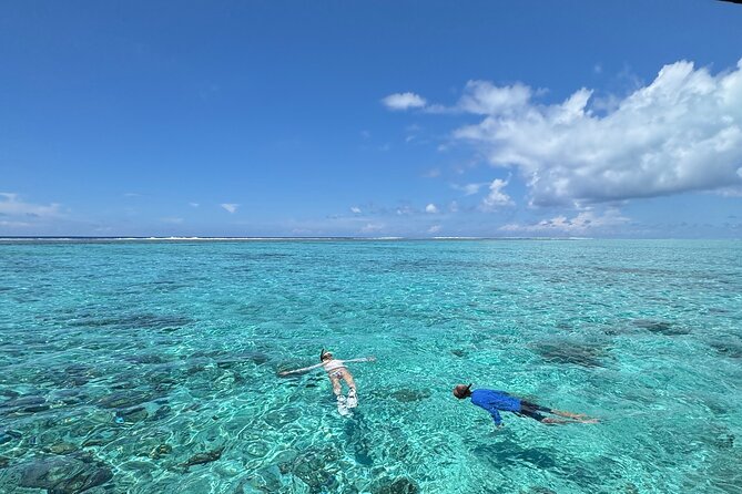 Half day Eco Snorkeling small group Tour in Bora Bora - Five useful things to know before booking