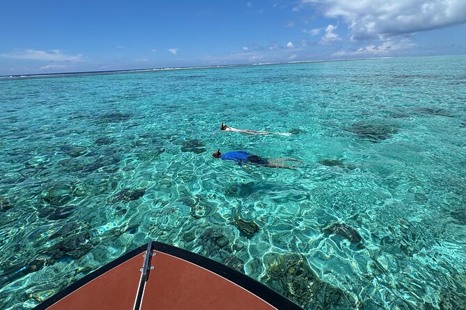 Half day Eco Snorkeling small group Tour in Bora Bora - Why the small group makes a difference