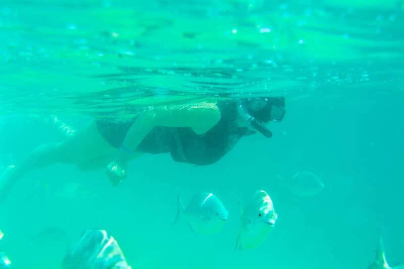 Half Day Guided Snorkel Tour in Los Cabos - Key Points at a Glance