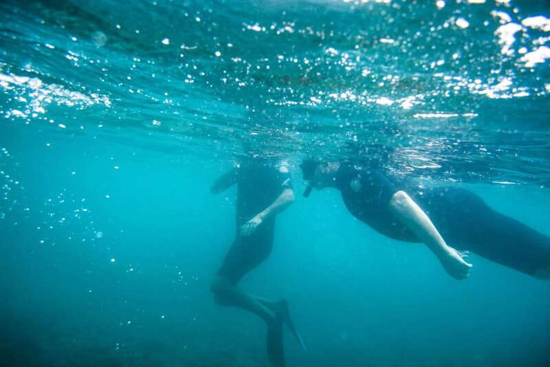 Half Day Guided Snorkel Tour in Los Cabos - Equipment, Snacks, and What to Bring