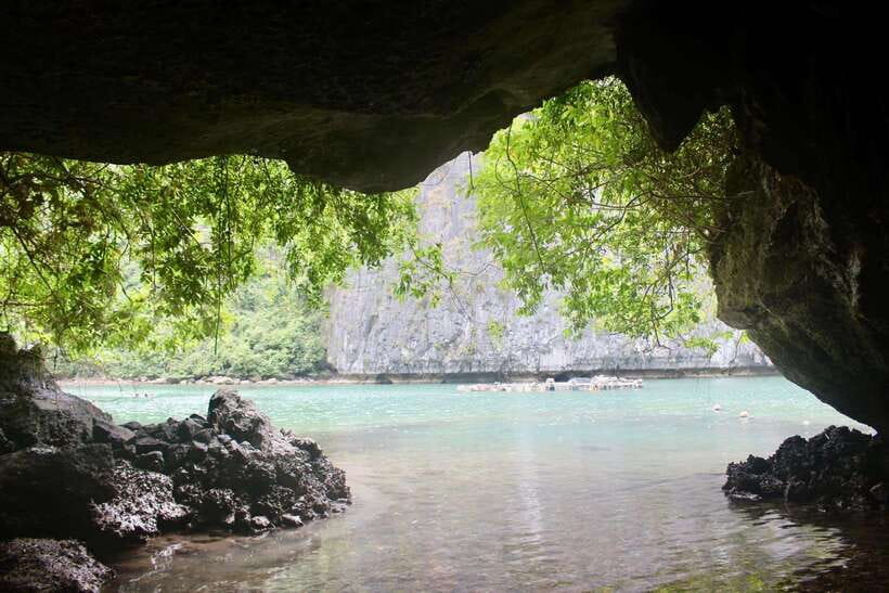 Half day Lan Ha Bay excursion ( 4 hours ): Kayaking, Snorkel - Cruising among the limestone towers