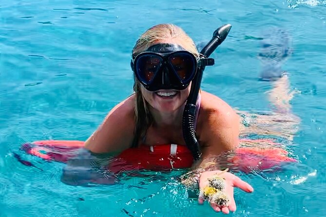 Half Day Luxury Catamaran Turtle Snorkel And Beach - The Five Details That Matter Most
