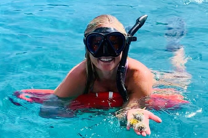 Half Day Luxury Catamaran Turtle Snorkel And Beach - A Crew That Does More Than Drive the Boat
