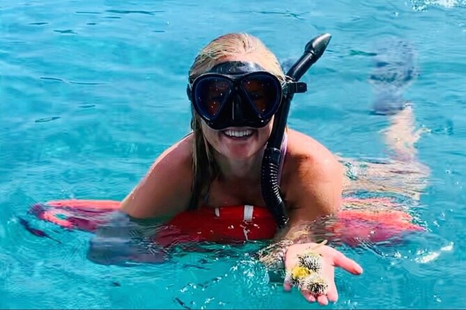 Half Day Luxury Catamaran Turtle Snorkel And Beach - Turtle Cove: The Main Underwater Encounter