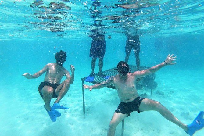 Half-Day Muri Lagoon BBQ Lunch Cruise including Snorkeling - Quick facts about this Muri Lagoon cruise