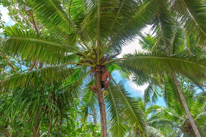 Half-Day Muri Lagoon BBQ Lunch Cruise including Snorkeling - Pareu tying, coconuts, songs, and island humor