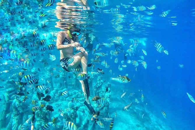 Half-Day Private Guided Snorkeling Turtles Underwater Statues - Key points to know before booking