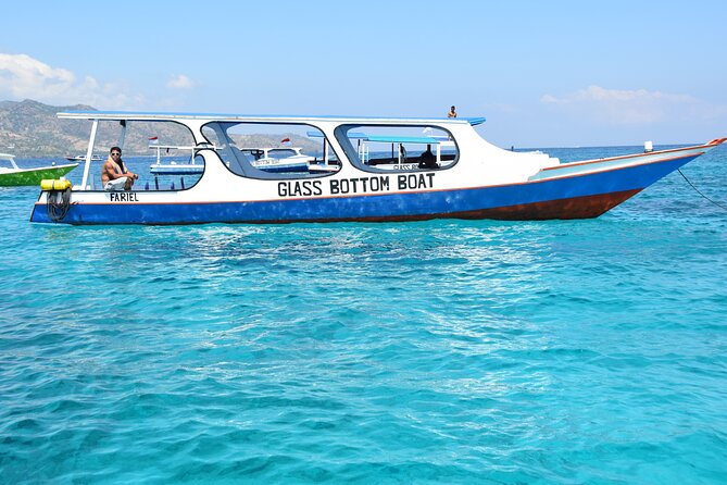 Half-Day Private Guided Snorkeling Turtles Underwater Statues - Gili Air and Fish Garden turtle time